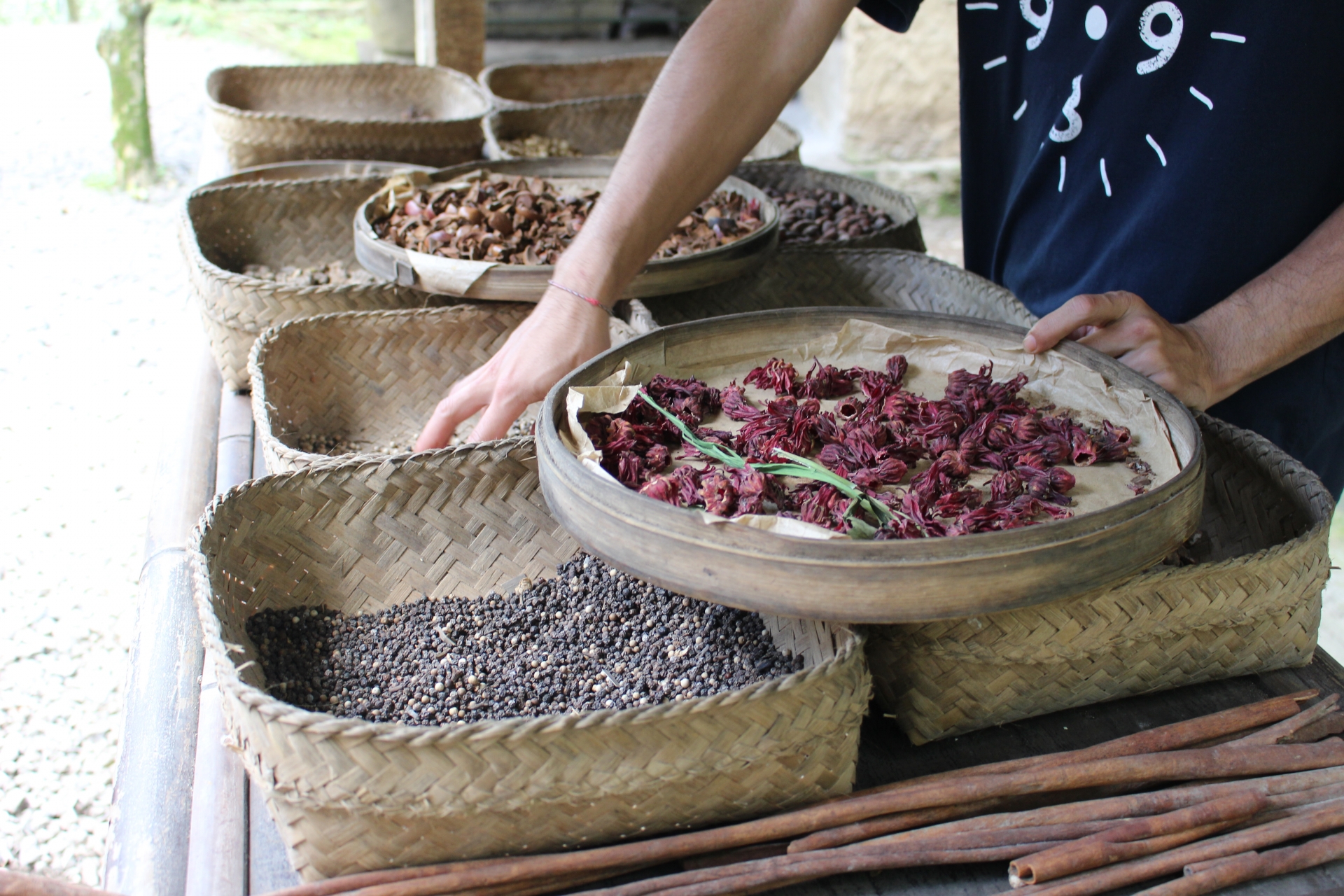 コーヒー農園で働く人